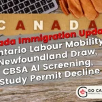 Ontario Labour Mobility, Newfoundland Draw, CBSA AI Screening, Study Permit Decline